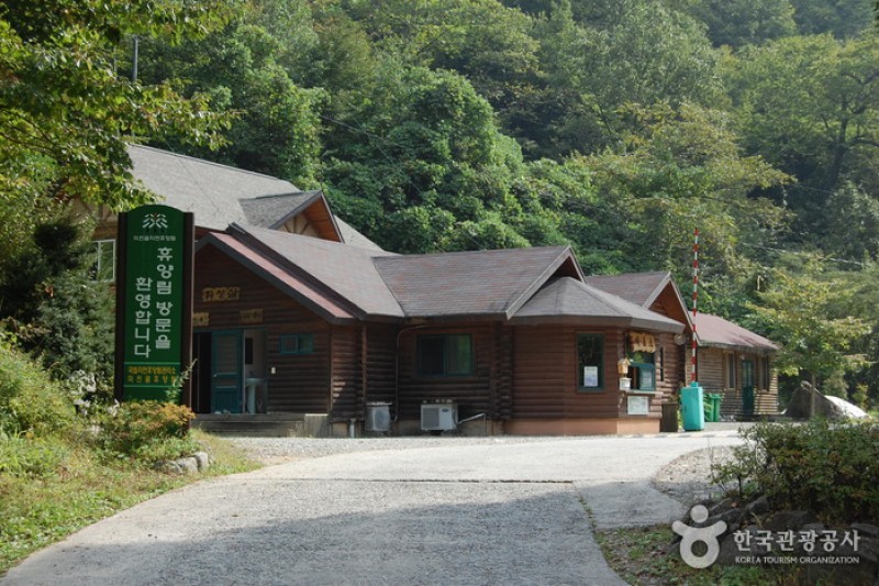 国立米川谷自然休養林 (1/12)