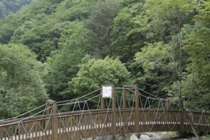 チプダリ谷自然休養林