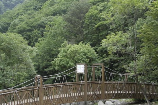 チプダリ谷自然休養林