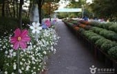 江原道立花木園
