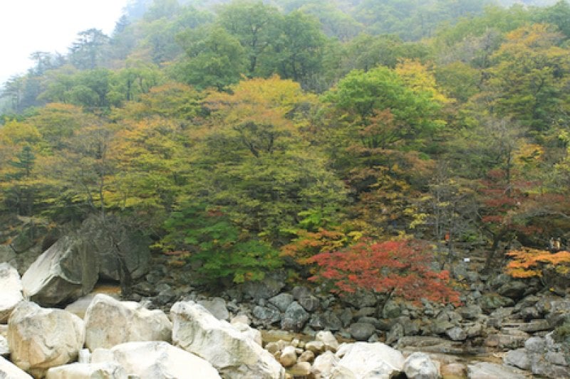 飛仙台 (1/7)