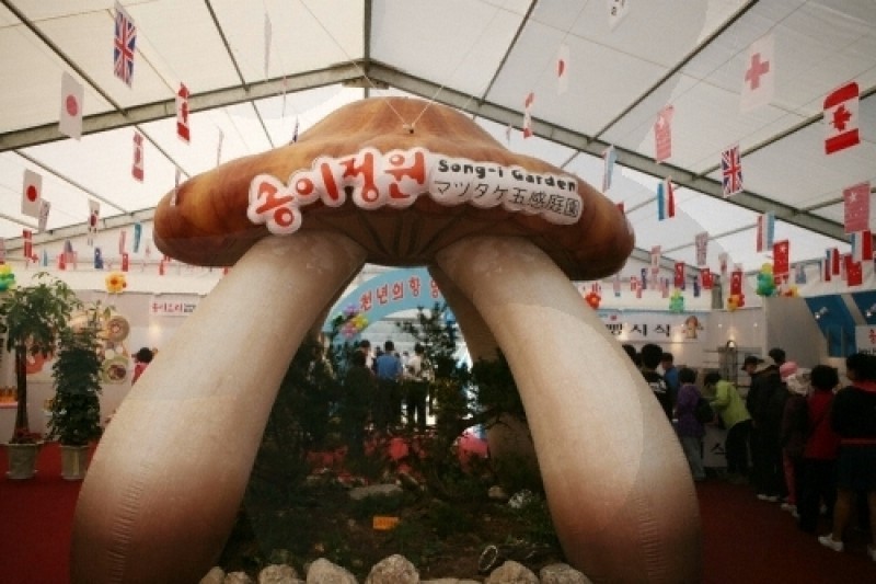 襄陽まつたけ祭り (1/10)