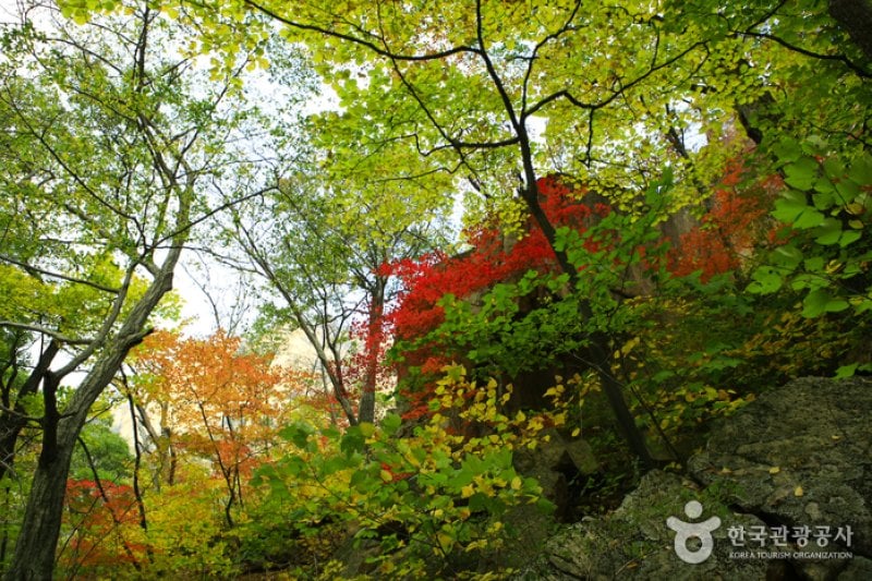 雪岳山国立公園（南雪岳）（설악산국립공원 (1/11)