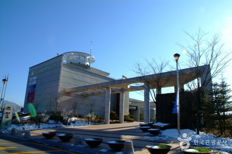 東江写真博物館 (1/21)
