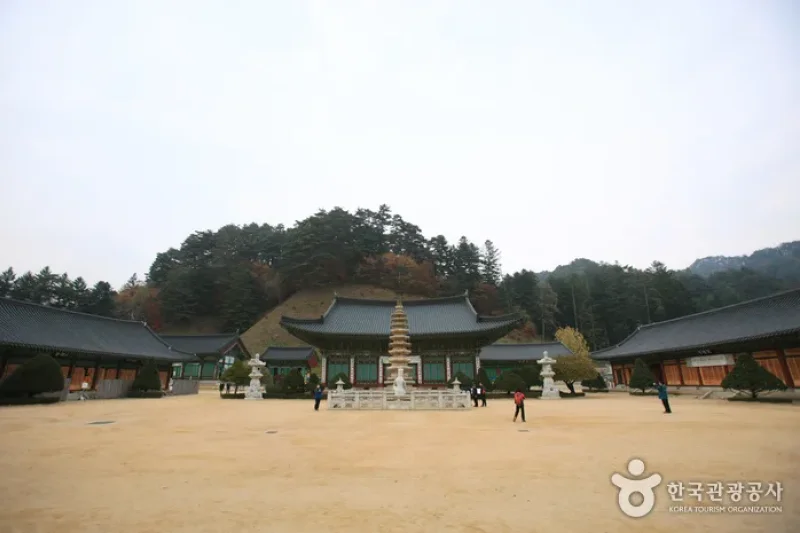 月精寺テンプルステイ (1/2)