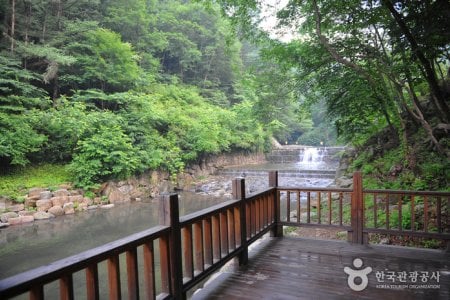 国立白雲山自然休養林