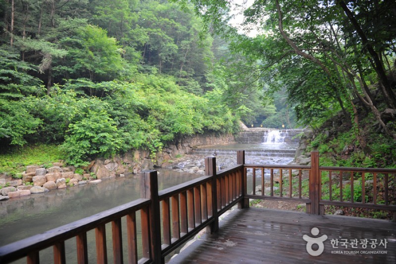 国立白雲山自然休養林 (1/3)