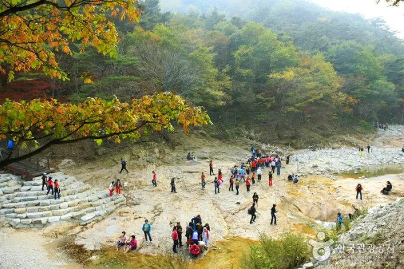 五色薬水 (1/5)