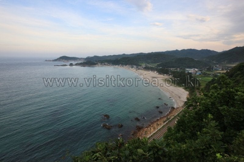 龍化海岸 (1/11)