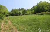 太白高原自然植物園
