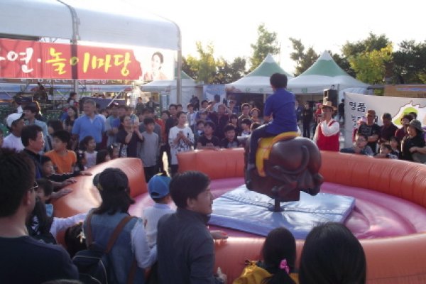 洪川高麗人参韓牛名品祭り