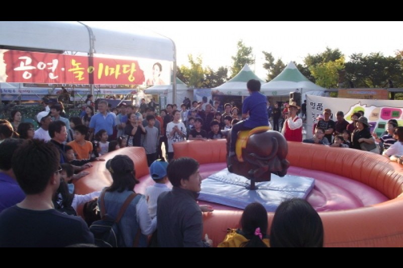 洪川高麗人参韓牛名品祭り (1/7)