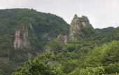 徳項山