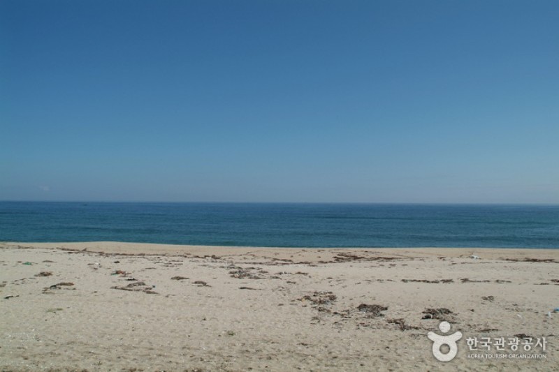 沙川海岸 (1/10)