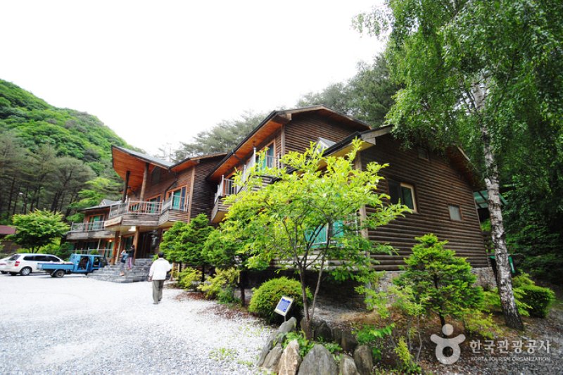 国立加里王山自然休養林 (1/20)