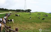大関嶺観光特区