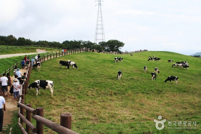 大関嶺観光特区 (1/6)