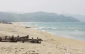 南涯海岸（南涯1・3里）（남애해변