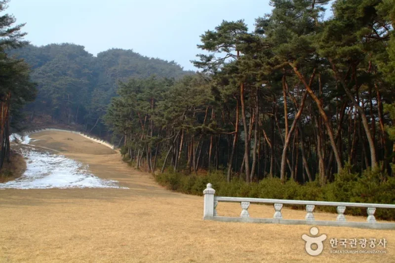 申壮節公墓域 (1/8)