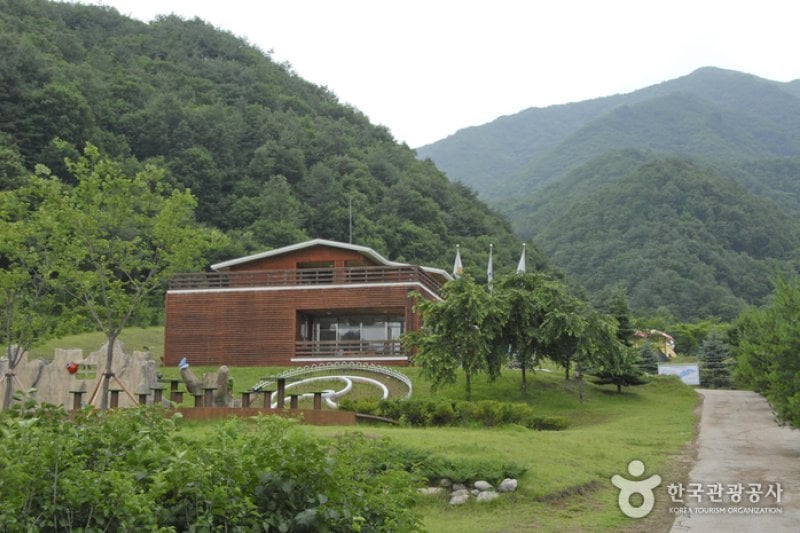 楊口生態植物園 (1/4)