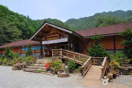 朝鮮民画博物館