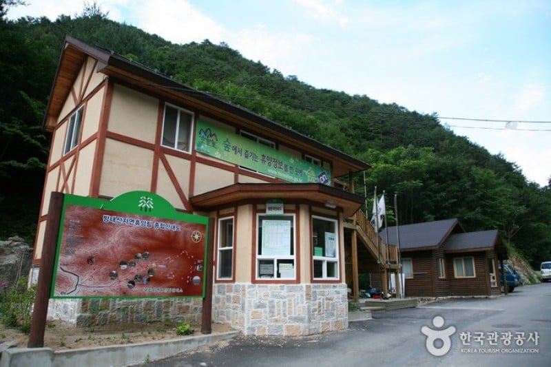 芳台山自然休養林 (5/23)