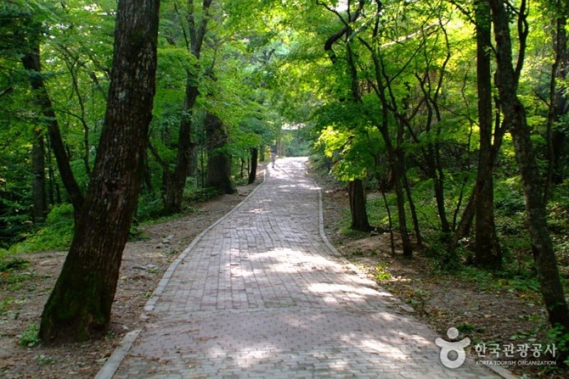 五台山国立公園 (10/10)
