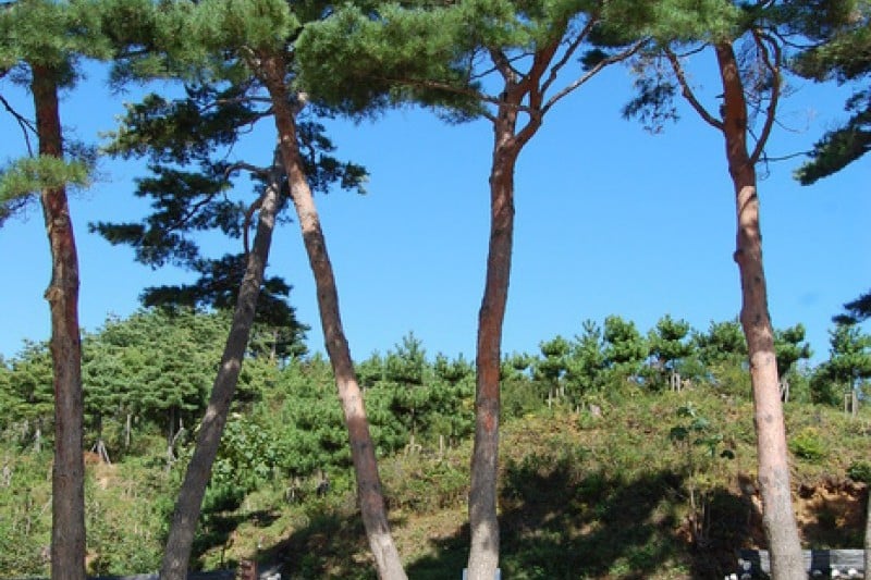 洛山寺 (9/69)