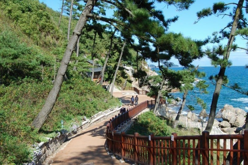 洛山寺 (20/69)