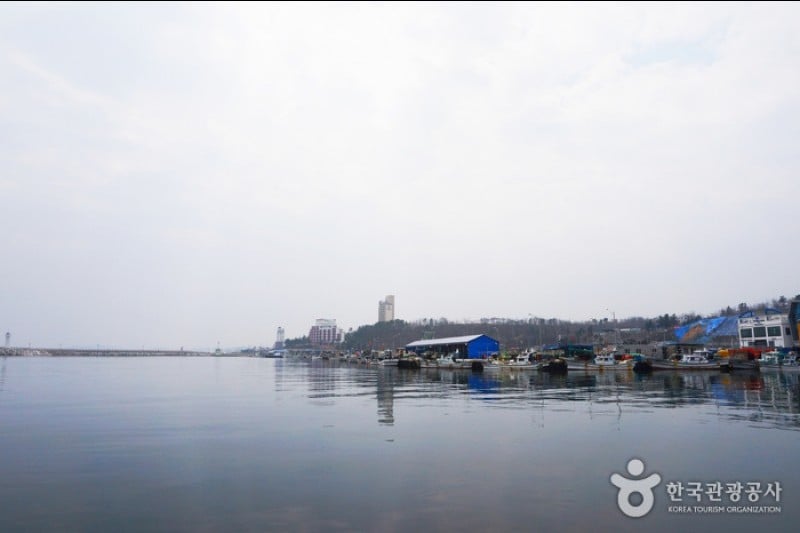 大浦港 (1/23)