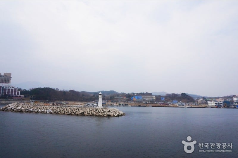大浦港 (2/23)