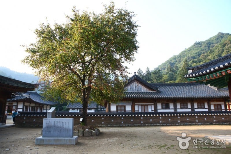 百潭寺 (4/20)