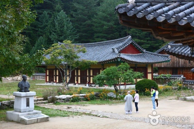 百潭寺 (11/20)