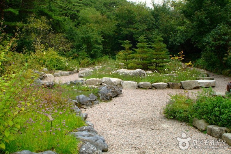 韓国自生植物園 (1/22)