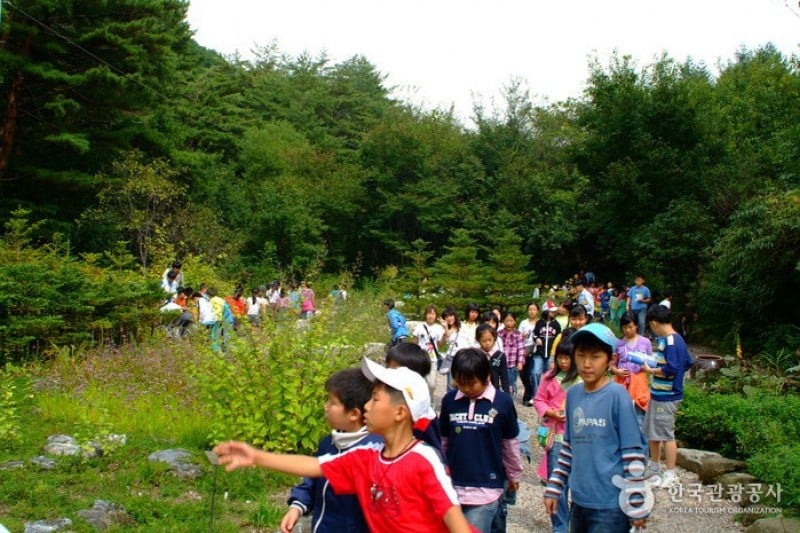 韓国自生植物園 (2/22)