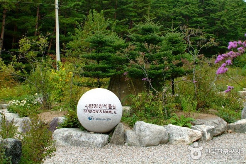 韓国自生植物園 (5/22)