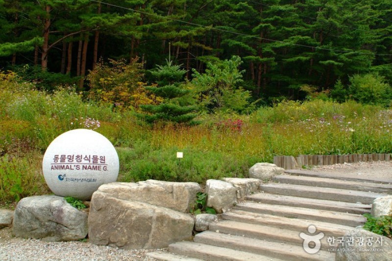韓国自生植物園 (6/22)