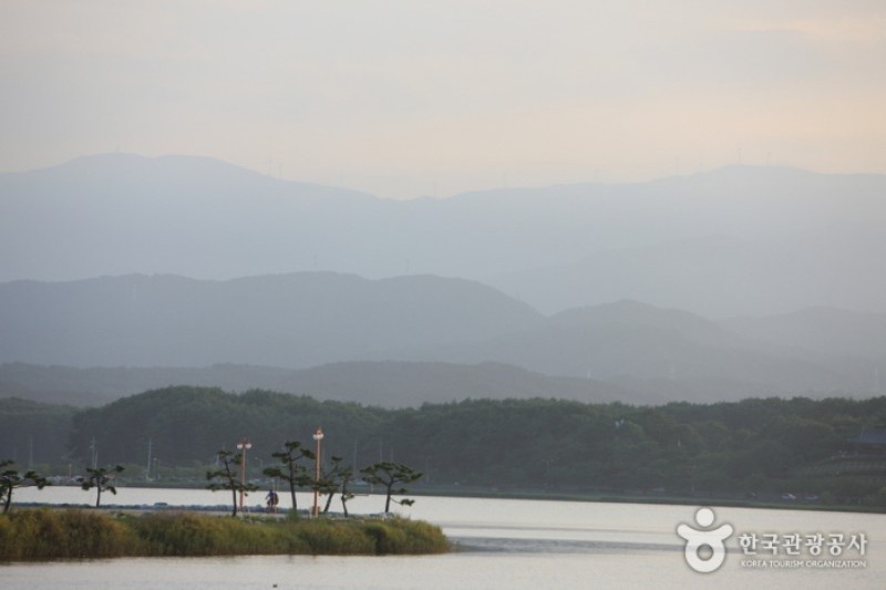 鏡浦湖-渡り鳥の飛来地 (3/7)