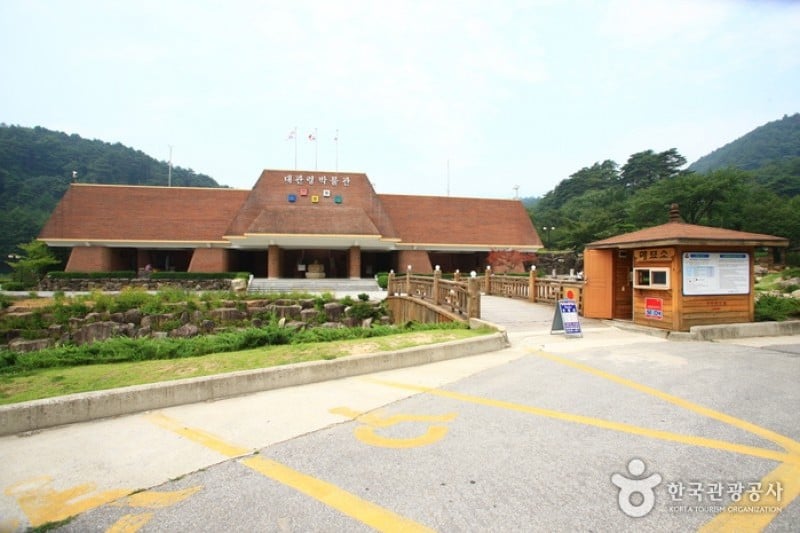 大関嶺博物館 (7/19)
