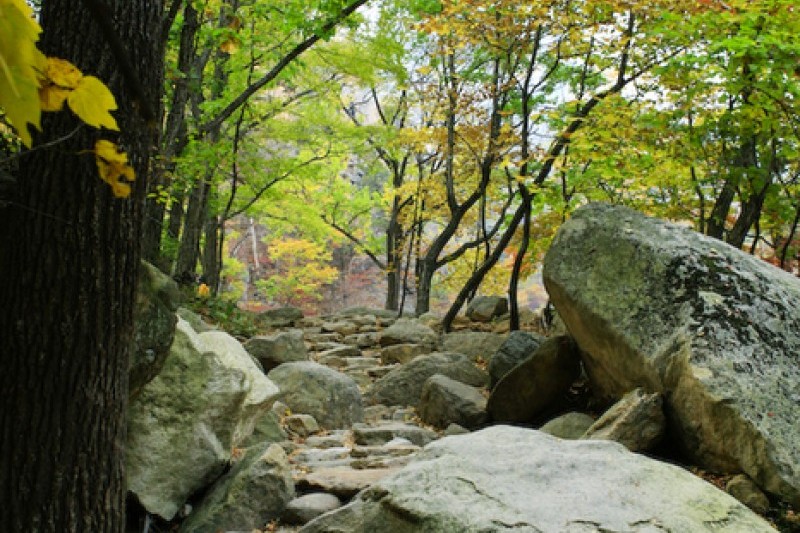 五色鋳銭谷 (24/31)