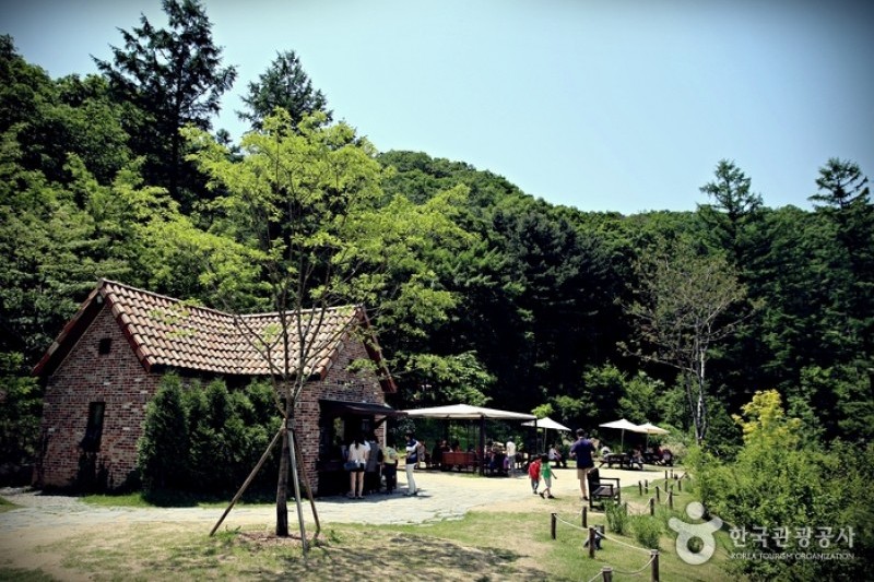 ジェイドガーデン樹木園 (10/11)