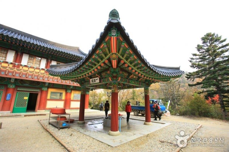 上院寺 (13/21)