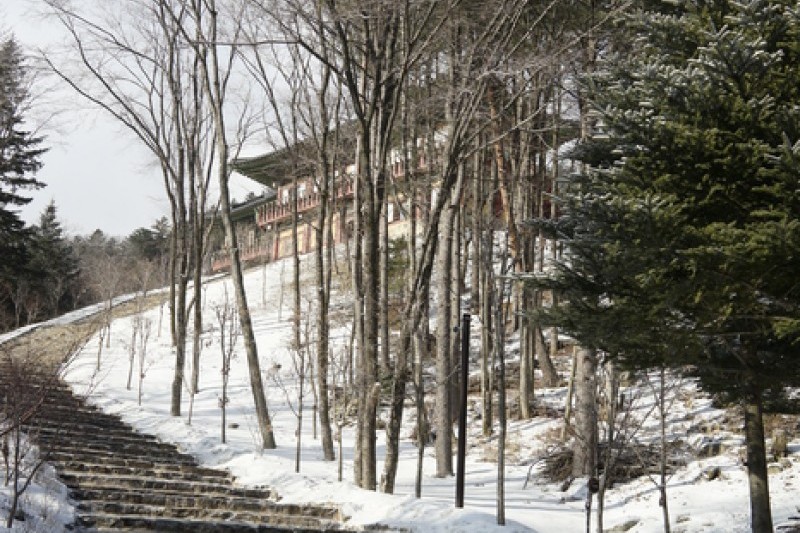 上院寺 (21/21)