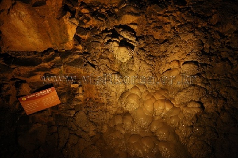 幻仙窟（大耳里郡立公園） (20/48)
