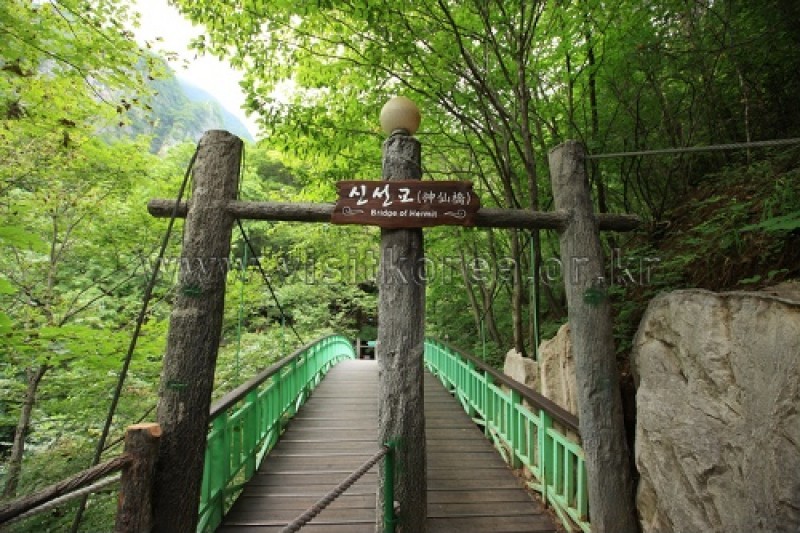 幻仙窟（大耳里郡立公園） (39/48)