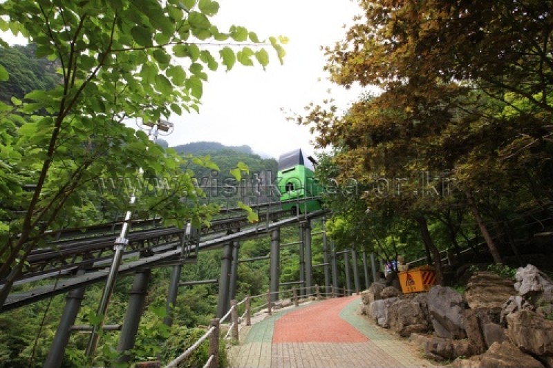 幻仙窟（大耳里郡立公園） (41/48)