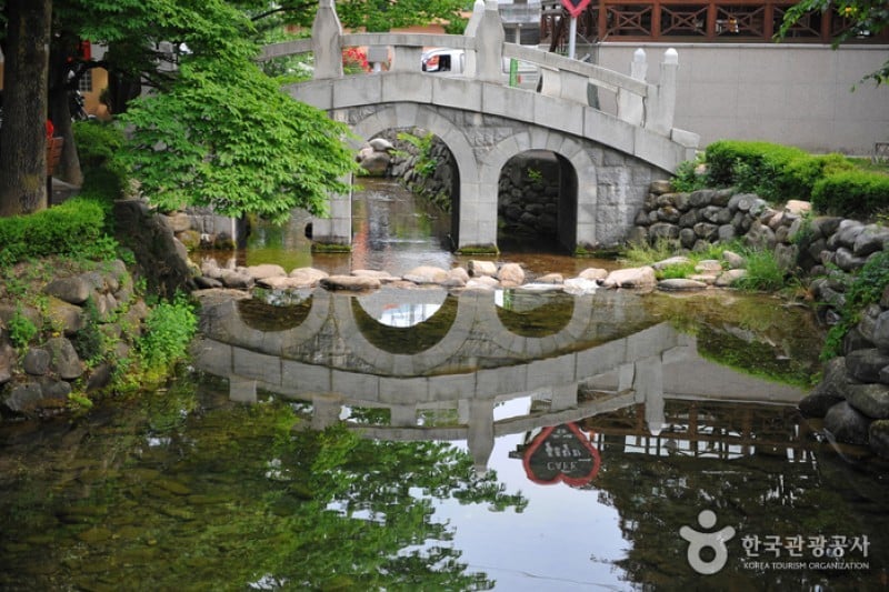黄池蓮池（洛東江の水源） (1/10)