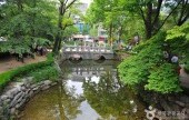 黄池蓮池（洛東江の水源）