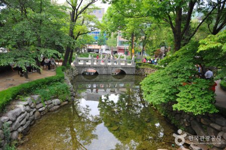 黄池蓮池（洛東江の水源）