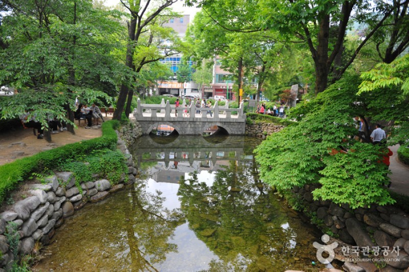 黄池蓮池（洛東江の水源） (3/10)